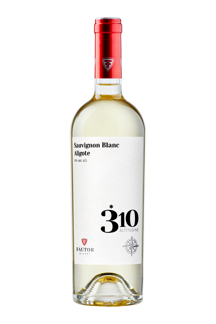 FAUTOR 310 SAUVIGNON BLANC & ALIGOTE - Aliona Rusnac